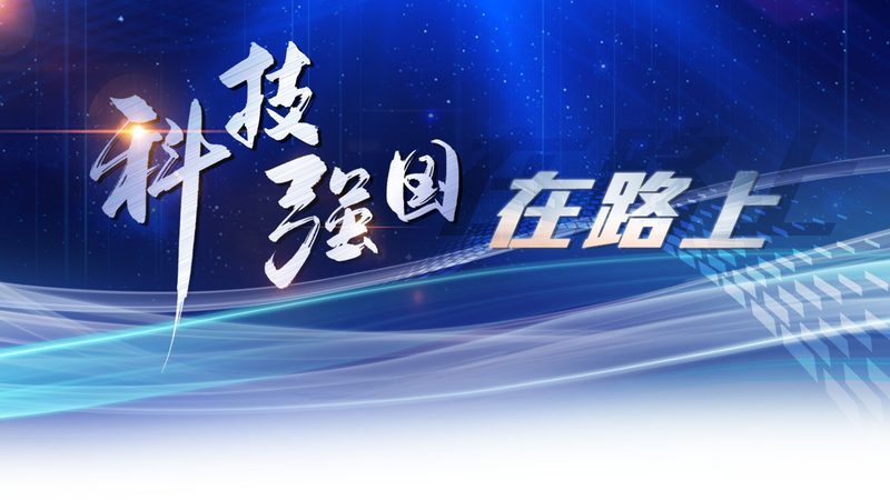 企业数字化安全风险管控平台：如何构建可靠防线**